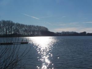 Dibbebusvijver