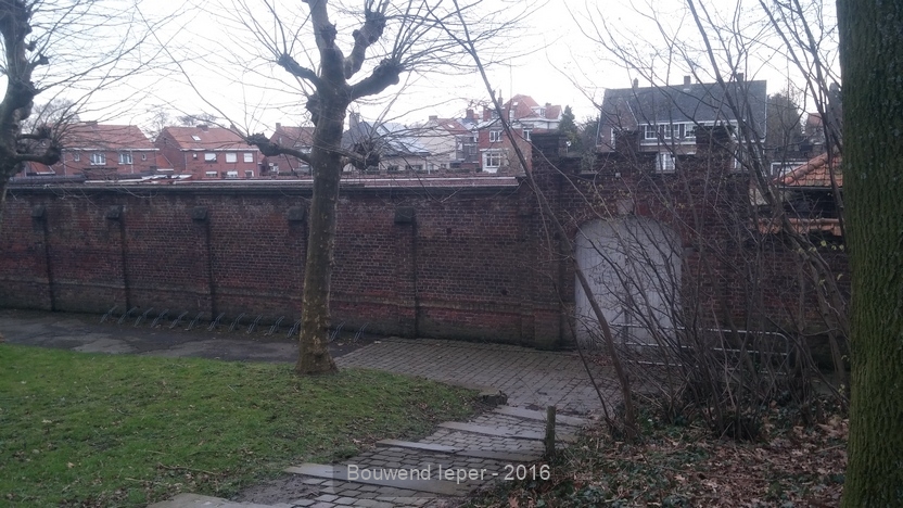 2016-03-09 08.14.50