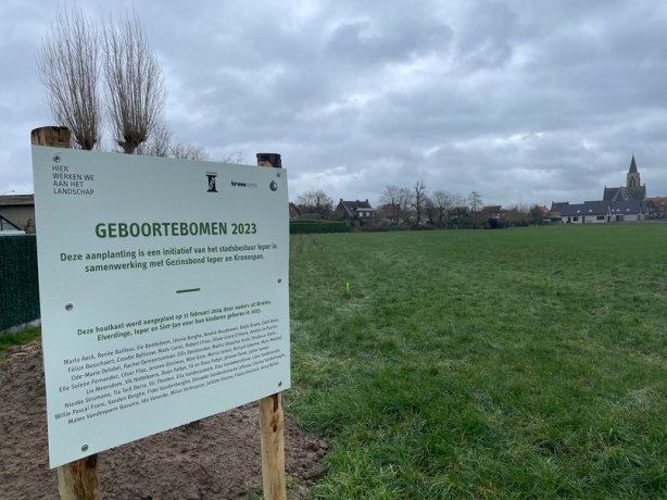 Ieper bereikt zijn ambitie om tegen eind 2024, 100.000 bomen en struiken te&nbsp;planten