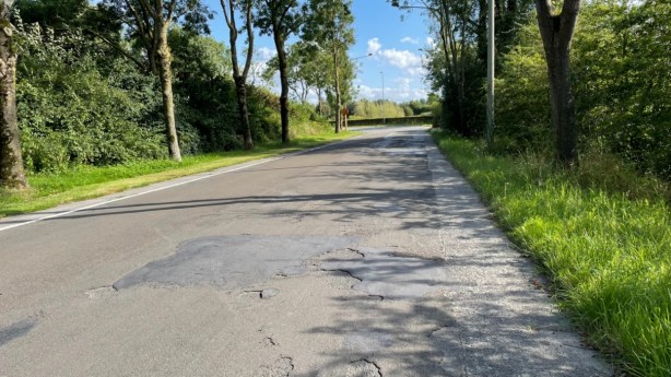 In augustus asfalteringswerken in Leopold III-laan en vernieuwing paden Hoornwerkpark