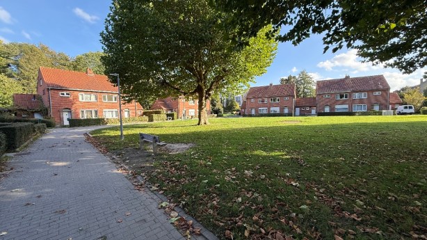 Plan voor Torrepoortwijk: 23 woningen zouden plaatsmaken voor 54 nieuwe sociale&nbsp;woningen